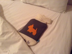 Llama-embroidered hot water bottle as a welcome sight for our beds at night.  Temperature dropped to almost freezing in the Andes Mountains where we were